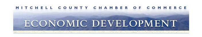 Economic Development